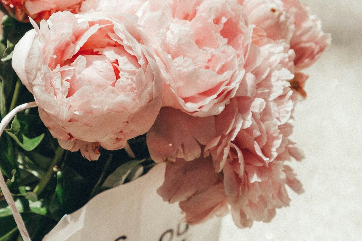 Labiaplasty for Comfort, Not Just Aesthetics