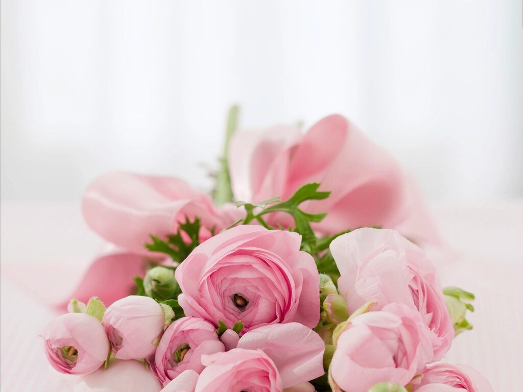 Labiaplasty and Intimacy: What to Expect